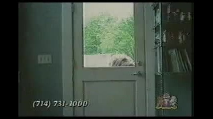Dc Talk - Since I Met You
