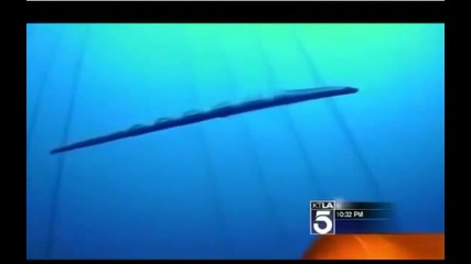 18 м. Змиорка чудовище открита в Catalina Island California