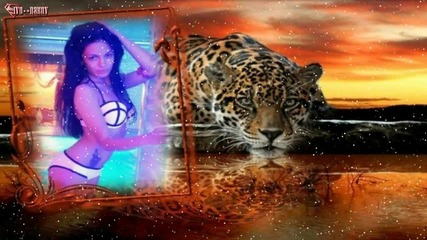 ® Бг Превод - Bojan Zekic - Da te zaboravim ®