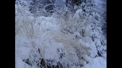 Песен За Споделената Любов !