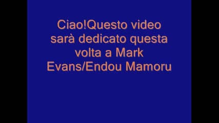 mark Evans
