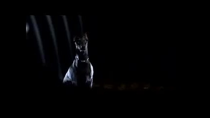 Bmw M3 Commercial
