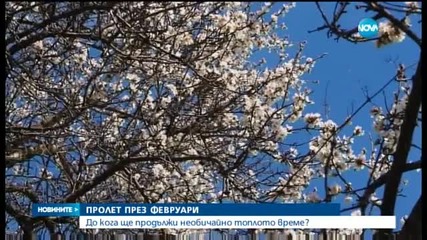 Новините на Нова (15.02.2016 - обедна)