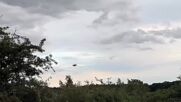 Вторият F-16 кацна в авиобаза „Граф Игнатиево“