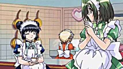 Tokyo Mew Mew 17