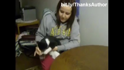 Забавни котента във вода