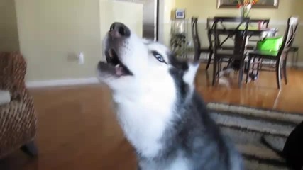 Mishka пее