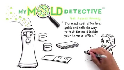 Diy Home Mold Testing Kit