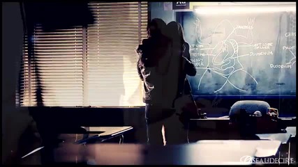 Damon + Elena // Forevermore