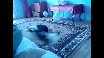 Видеоклип0018 