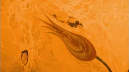 Sufi Music Ensemble - Whirling