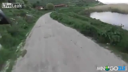 Глутница кучета нападат колоездач