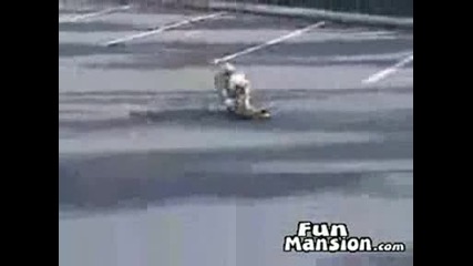 Куче Скейтбордист