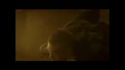 House Of Wax - Montage