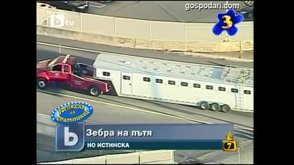 Господар на седмицата - Господари на Ефира 