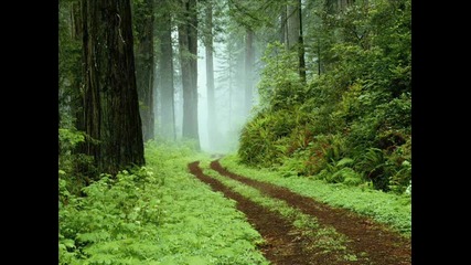 Спомни си за приятен момент в твоя живот 