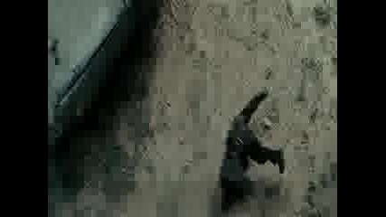 Terminator Salvation R5 Sample