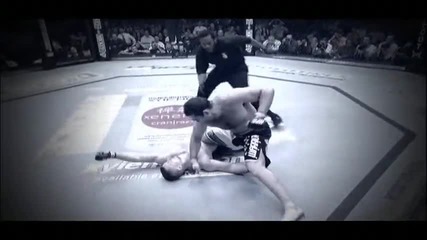 Ufc Legends Tribute