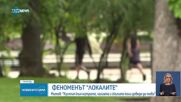 Митов: Десетилетия култ към мутрите, скъпите вещи и коли са отговорни за "локалите"