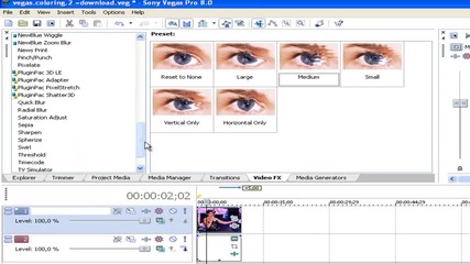 Sony Vegas-4 effect