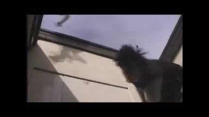 Thornbury Revisited - Audacity Parkour Tea