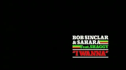 Bob Sinclar & Sahara feat. Shaggy - I Wanna