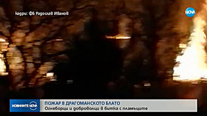 Пожар гори в Драгоманското блато