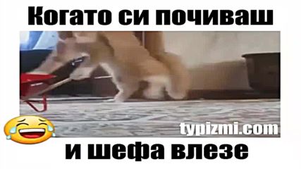 Когато си почиваш и шефа влезе