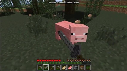 Sunnycraft #1