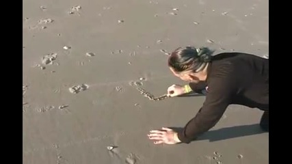 Jeff Hardy - [ * * ]