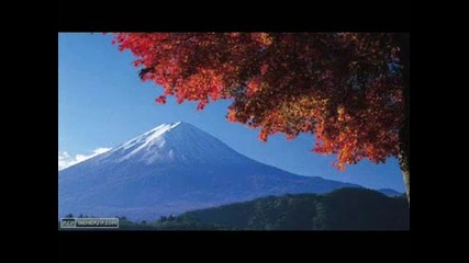 Solarstone - The Calling Orkidea