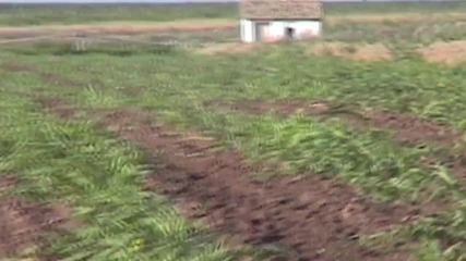 Serbian Lesson 7 - Serbian Ninja Farmer