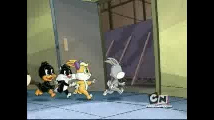 Baby Looney Tunes