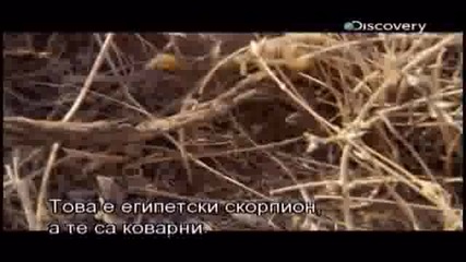 Ultimate Survival - Turcia / Оцеляване на предела - Турция