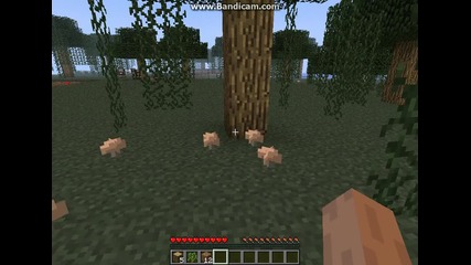 Minecraft Singleplayer Survivor S1e1 Много кратък