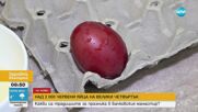 Традициите на Велики четвъртък: В Бачковския манастир ще боядисат 2024 червени яйца