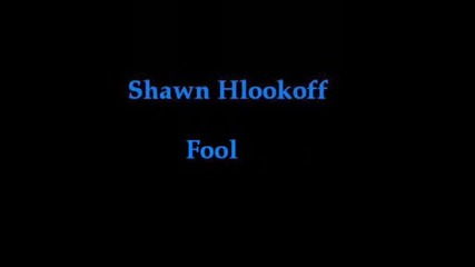 Shawn Hlookoff - fool