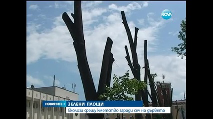 Еколози скочиха срещу кметството в Хасково заради сеч на дървета - Новините на Нова
