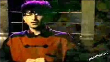 Lightning Seeds - Joy 