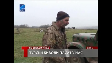 Шапът от Турция вече и в с. Резово, макар турците да отричат, че идва от тяхна страна 