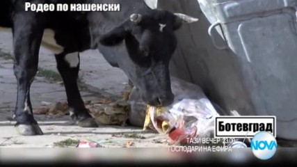 В "Господари на ефира" на 18 април очаквайте