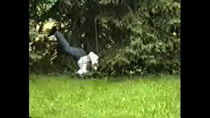 JackAss  -  скача от прозорец до дърво