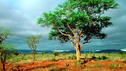 Deep Forest - Sound of Africa