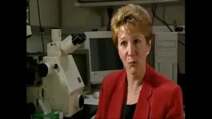Невероятната система на човека - мозъкът