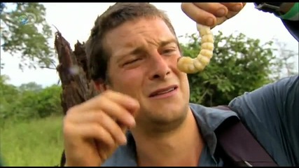 Man vs. Wild - Bear s Ultimate Survival - Bear s Menu