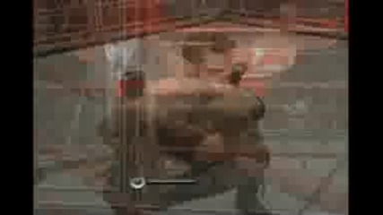 Hbk Road to Wrestlemania part 6