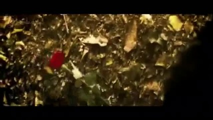 The Vampire Diaries ~ Season:3~ promo