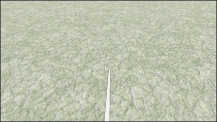 Живя