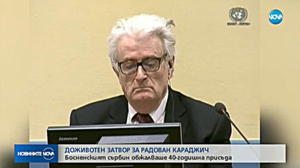 Доживотен затвор за Радован Караджич