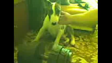 Videodj (2).3gp